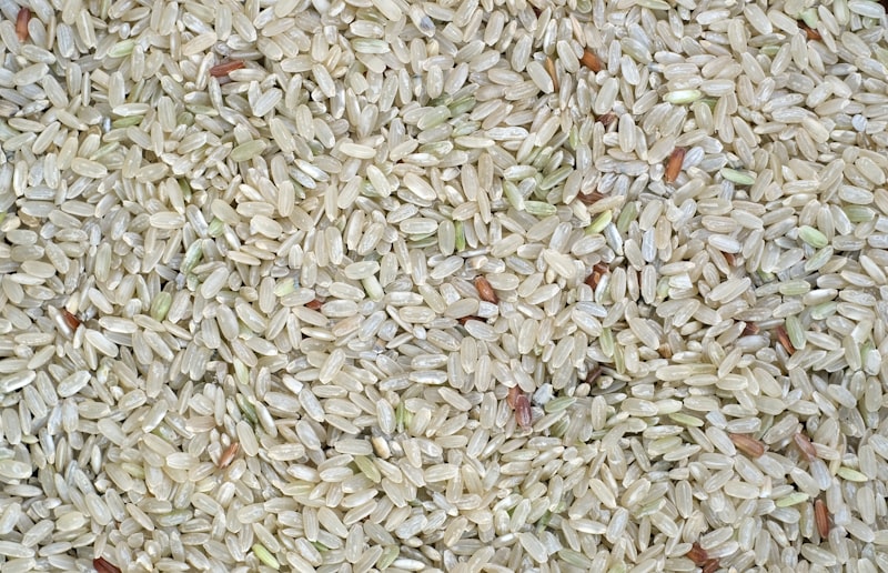 Introduction to Puffed Rice Manufacturing